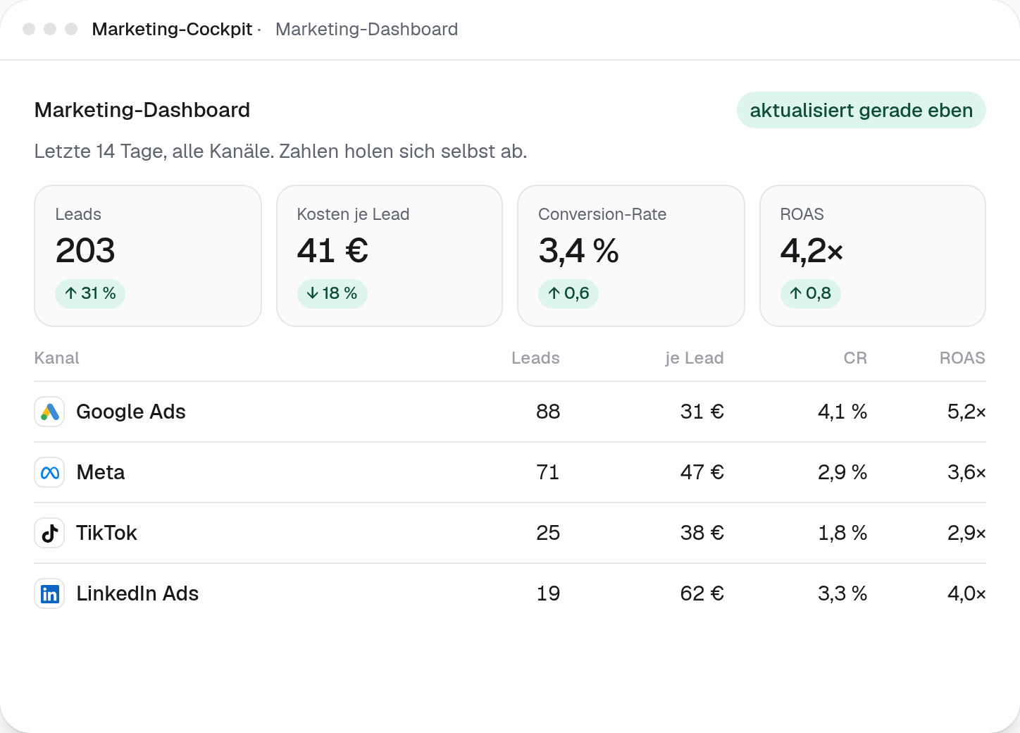 Cockpit-Ansicht Marketing-Dashboard: Kennzahlen und alle Werbekanäle in einer Übersicht